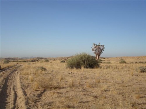 namibia khan river 001 (Small) (2) (Small).JPG