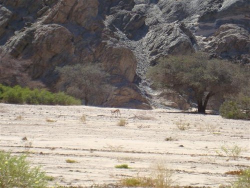 namibia khan river 092 (Small).JPG
