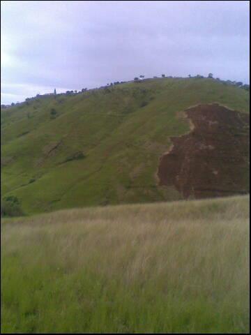 the hill.JPG