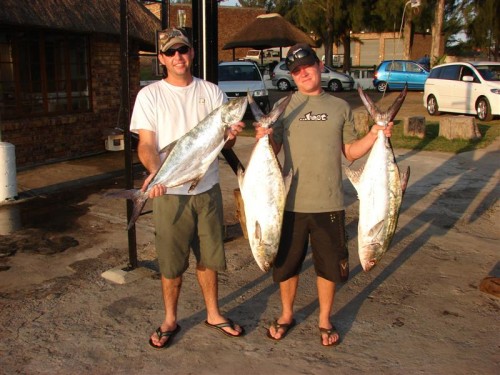 Caught these Garrik of the south pier in Richards Bay of a boat
