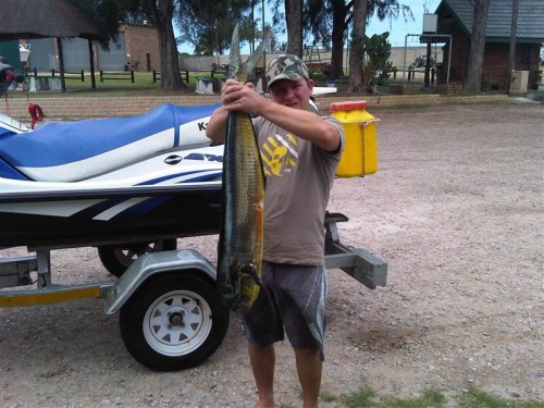 Dorado I caught of my friends Jet ski