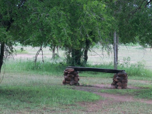 The bench at Ndlovo where the Boomslang made his appearance