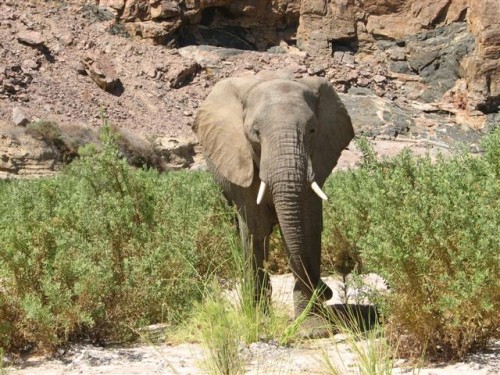 na puros, die warmquelle, na tsumeb deur kaudum tot in botswana 090.jpg