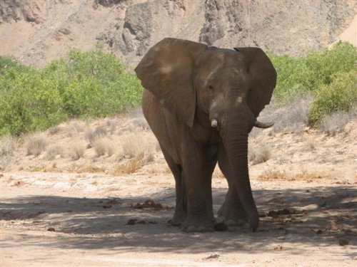 na puros, die warmquelle, na tsumeb deur kaudum tot in botswana 164.jpg