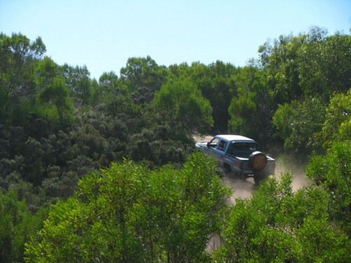 Starting the Sand Trail