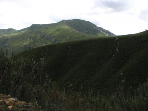 View from bottom of Beacon Hill