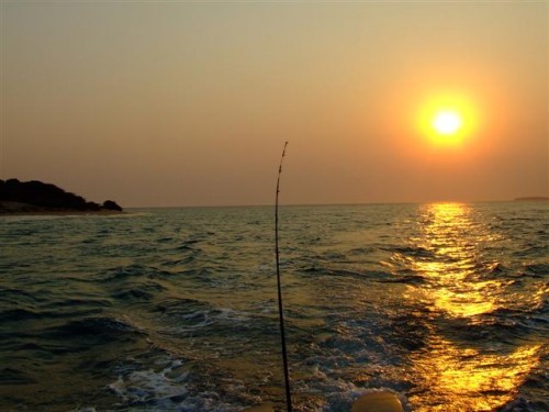 ebb tide the gap best time for fishing