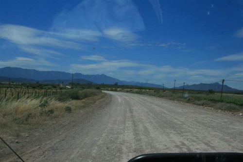 country roads...somewhere along the breede valley.