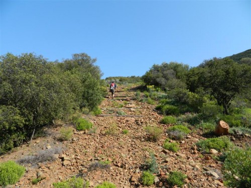 the main 4x4 left for another day. it is btw montagu and barrydale.