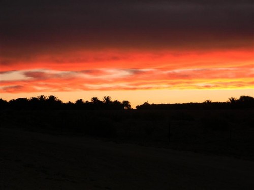 Namakwa  Namibia 2011 1408 (Medium).JPG