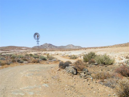 Namakwa  Namibia 2011 1674 (Medium).JPG