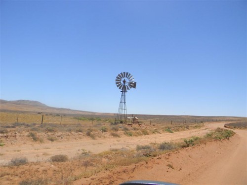 Namakwa  Namibia 2011 1718 (Medium).JPG