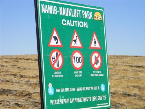 Namakwa  Namibia 2011 174 (Medium).JPG