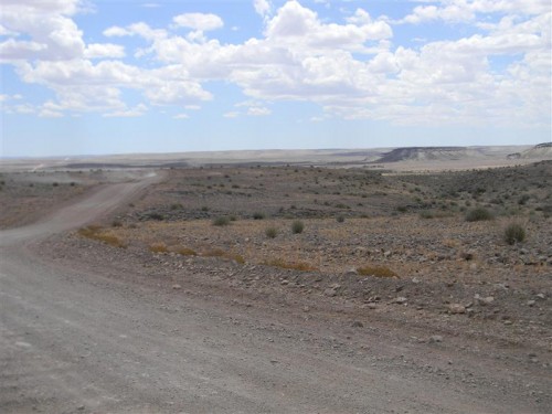 Namakwa  Namibia 2011 1905 (Medium).JPG