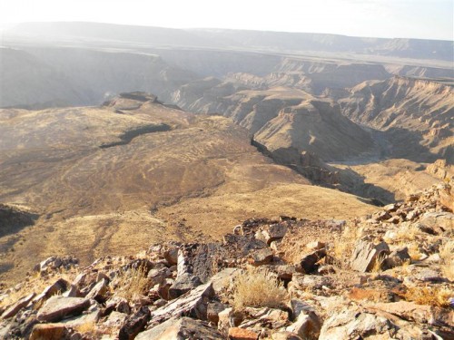 Namakwa  Namibia 2011 1937 (Medium).JPG