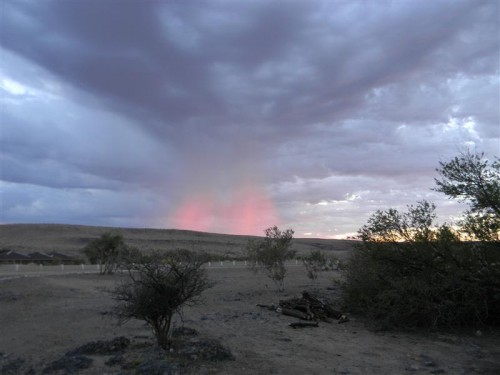 Namakwa  Namibia 2011 1968 (Medium).JPG