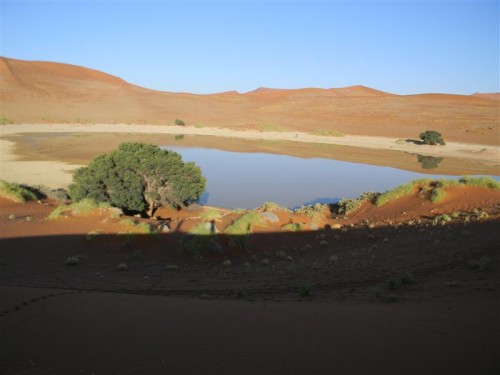 Namakwa  Namibia 2011 026 (Medium).JPG