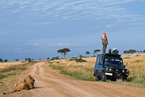 Meals On Wheels (Medium).jpg