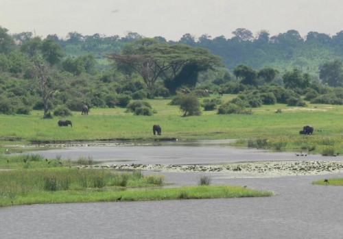 Chobe rivier oppad na Katima