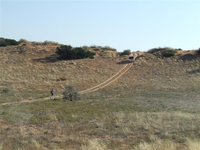 KALAHARI JUNIE 2012 098 (Small).jpg