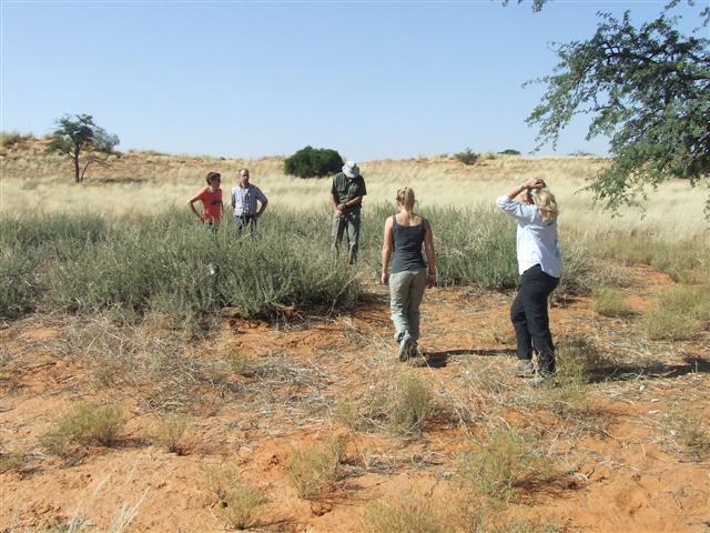 KALAHARI JUNIE 2012 089 (Small).jpg