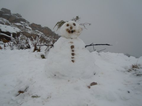 snowman