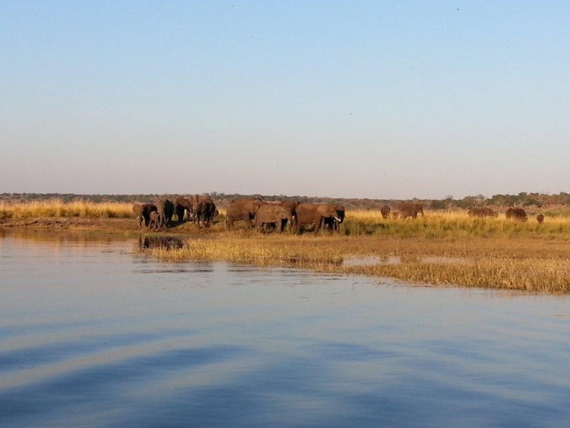 Botswana Trip 460 2.jpg