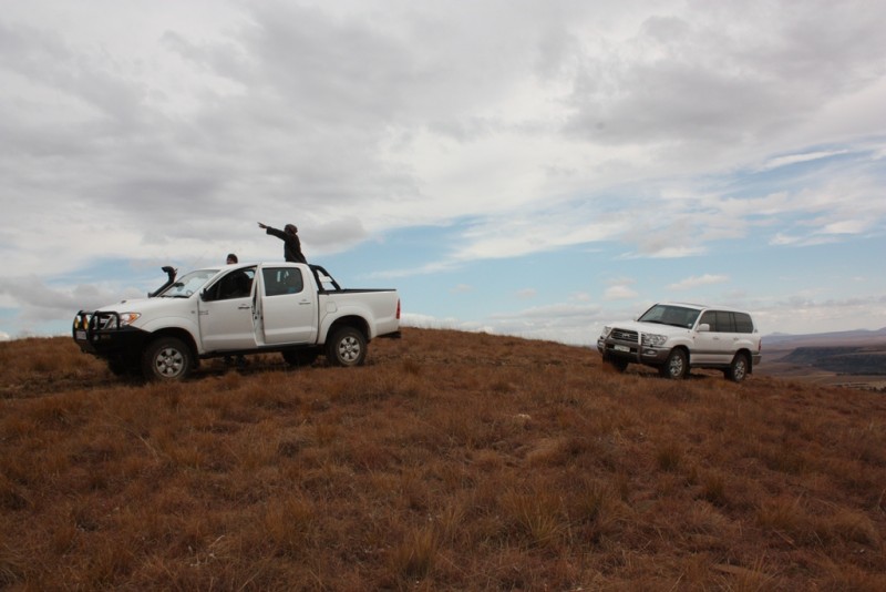 Up the mountain with the cattle grazing paths..