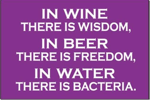 Wine Wisdom.jpg