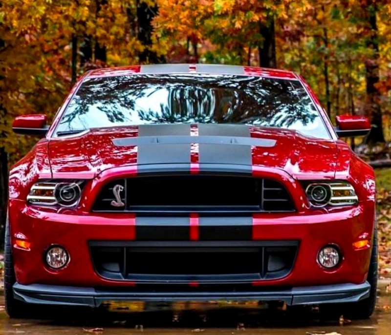 850hp Shelby Super Snake.jpg