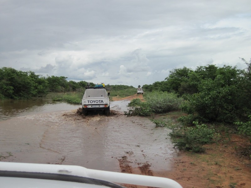 Botswana 2014 (76)small.jpg