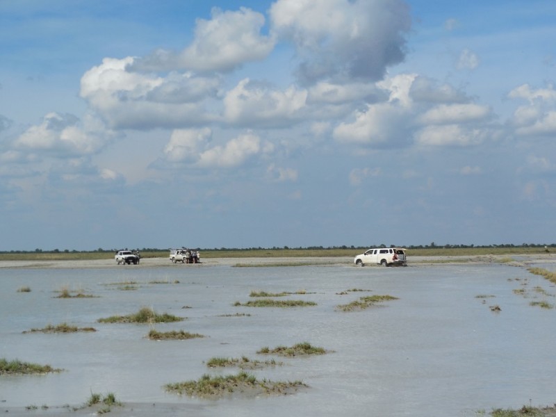 Botswana 2014 (213)small.jpg