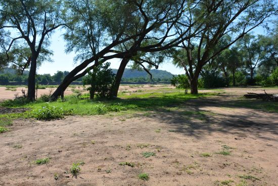 Campsite on the Limpopo.jpg