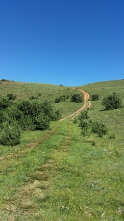 Trail3.jpg