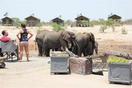 elephant sands