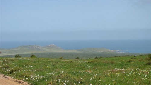 Weskus Nature Reserve Juan verjaar 2 143 (Large) (2).jpg