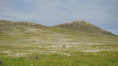 Weskus Nature Reserve Juan verjaar 2 125 (Large).jpg