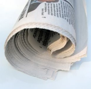 rolled-up-newspaper.jpg