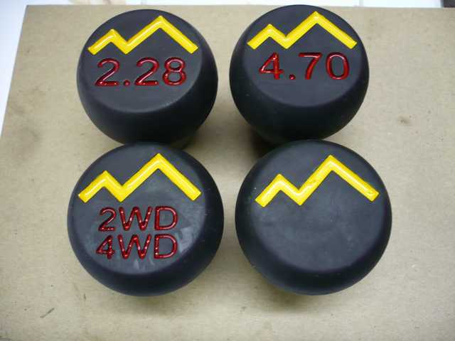 TG gearknobs painted inlay.JPG