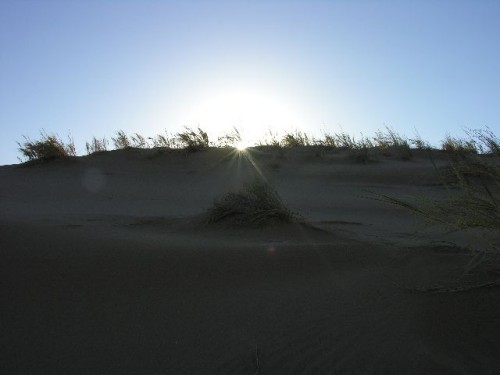 ntt namib  b 023.jpg