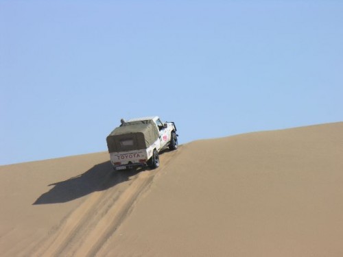 The petrol cruisers just flew up the long dunes