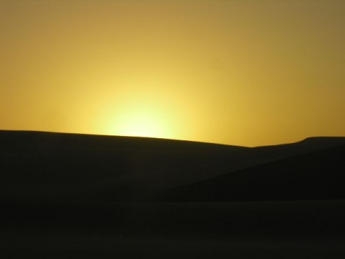 ntt namib  c 044.jpg