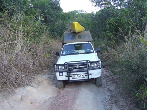 LAKE KARIBA 2008 075 (Medium).jpg