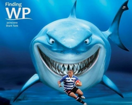 Wp vs Sharks.jpg