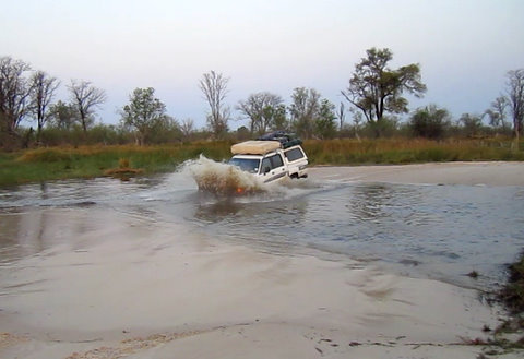 Crossing without a bride in Moremi!