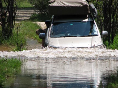 okovango delta na moremi en oppad huistoe 269.jpg