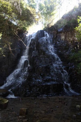 The falls above the 39 Steps have to my knowledge never been named. (No name falls). Still pretty though.