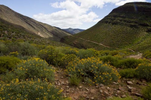 matjiesrivier road.jpg