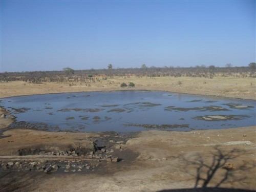 Hwange1 638 (Small).JPG