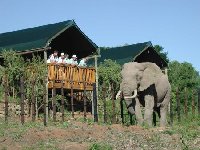 safari_tent_exterior.jpg